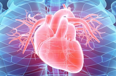 Solution cardiologie