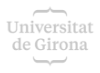 Logo Girona Grey Small