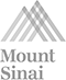 Logo Mount Sinai Grey Small