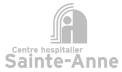 Logo Sainteanne Grey Small