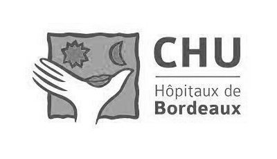 Logo CHU Bordeaux